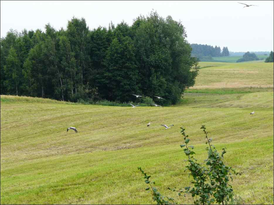 P1080022
