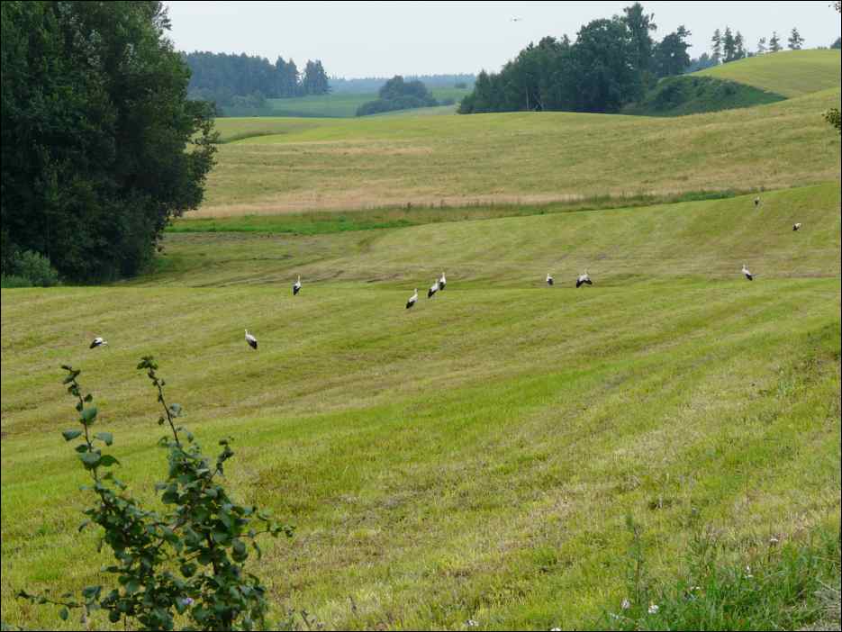 P1080025