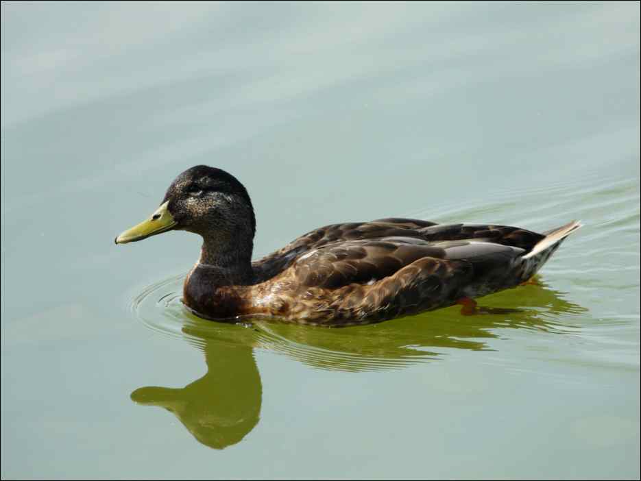 P1080049