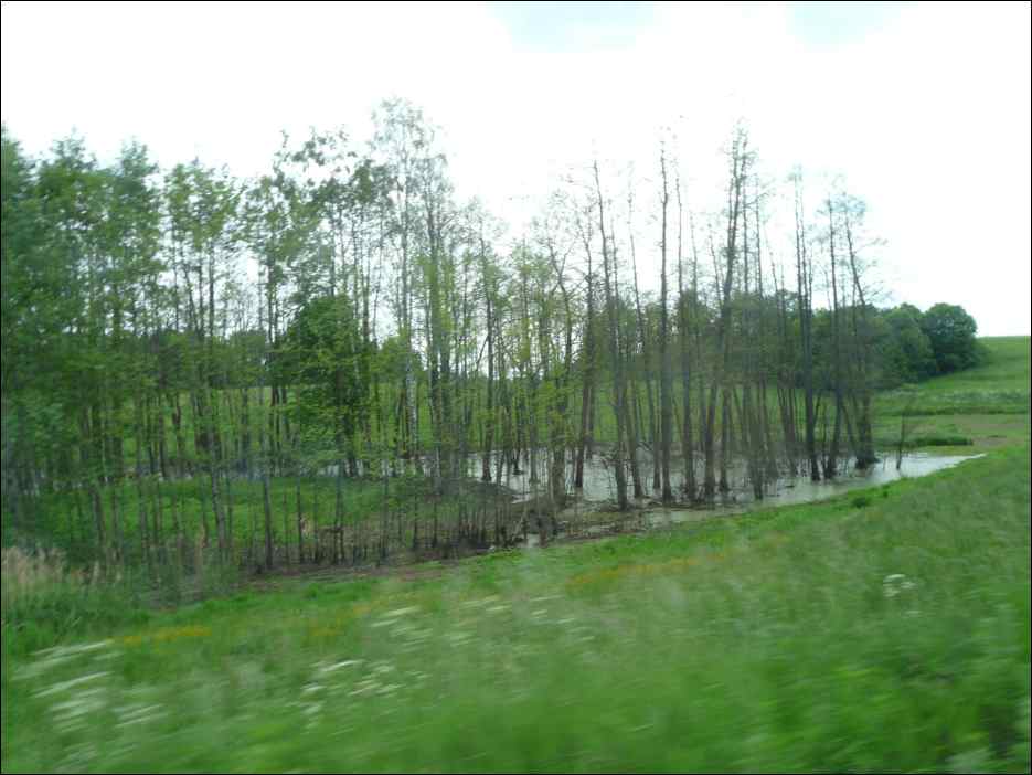 P1090714