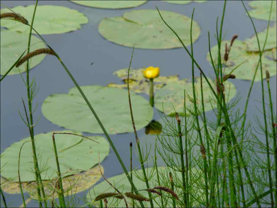 P1090732