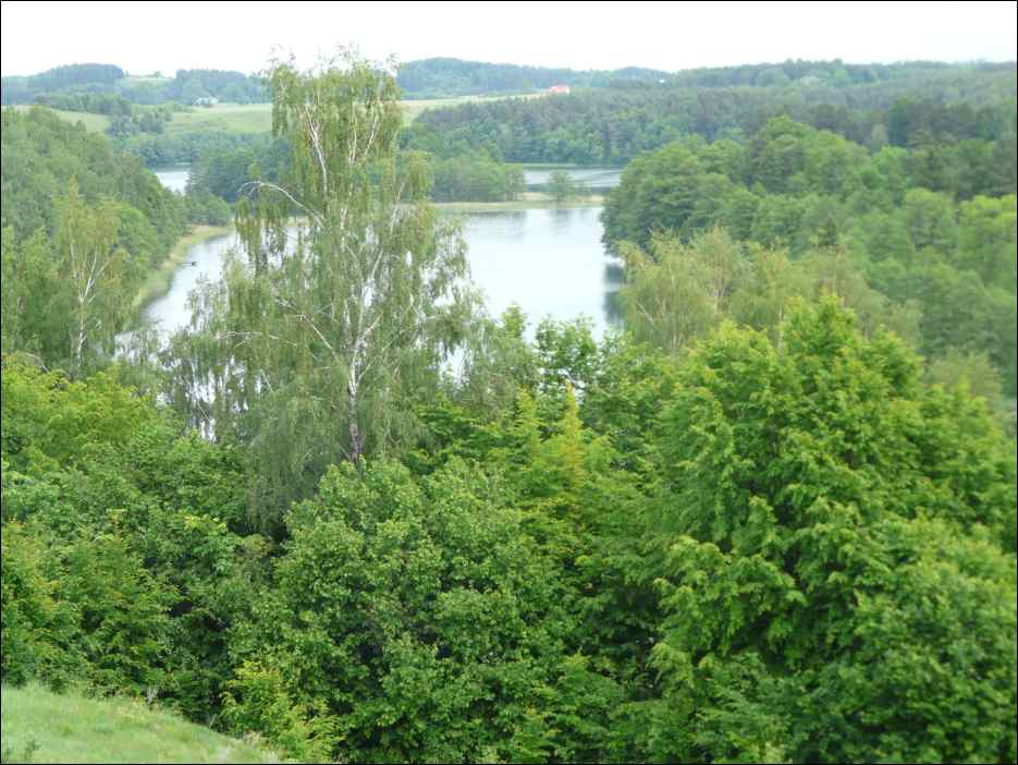 P1090747