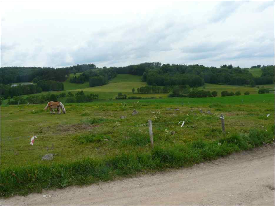 P1090753