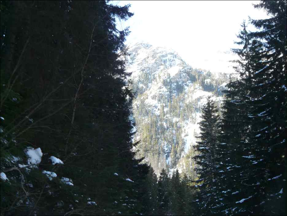 P1080911